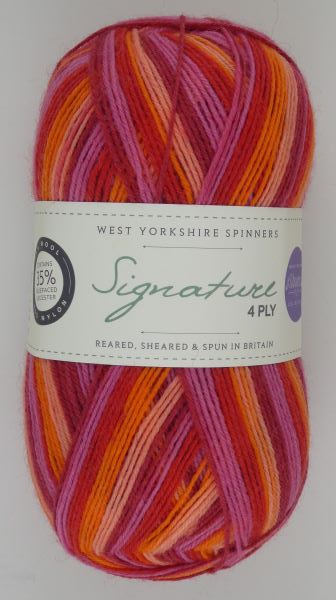 WYS - Signature 4 Ply - 881 Summer Sunset